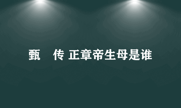 甄嬛传 正章帝生母是谁