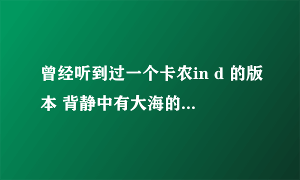 曾经听到过一个卡农in d 的版本 背静中有大海的声音 很美