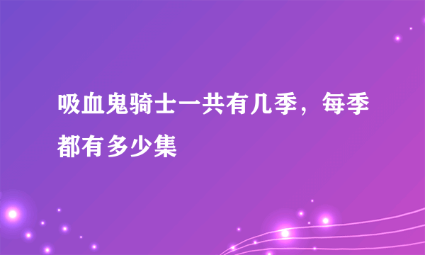 吸血鬼骑士一共有几季，每季都有多少集