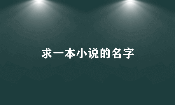 求一本小说的名字