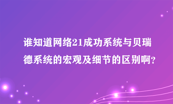 谁知道网络21成功系统与贝瑞德系统的宏观及细节的区别啊？