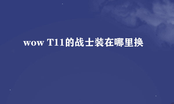 wow T11的战士装在哪里换