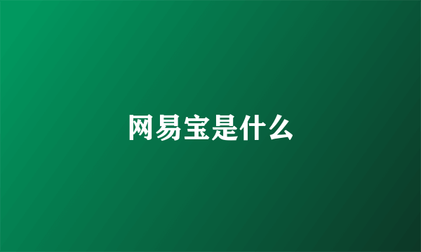 网易宝是什么