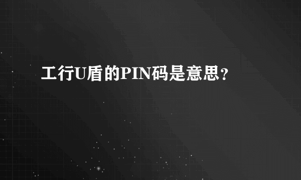 工行U盾的PIN码是意思？