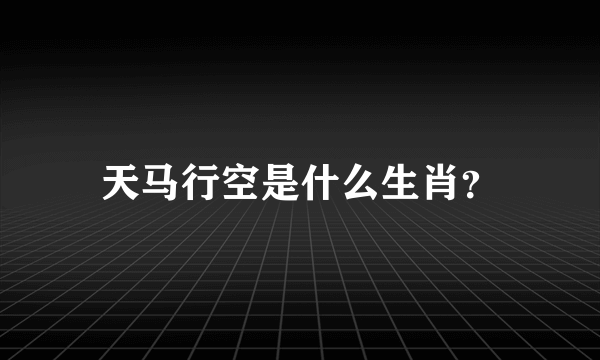 天马行空是什么生肖？