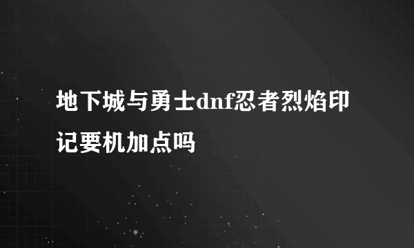 地下城与勇士dnf忍者烈焰印记要机加点吗