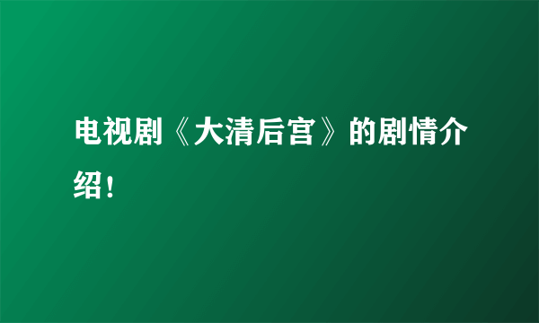 电视剧《大清后宫》的剧情介绍！