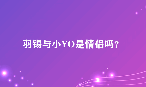 羽锡与小YO是情侣吗？