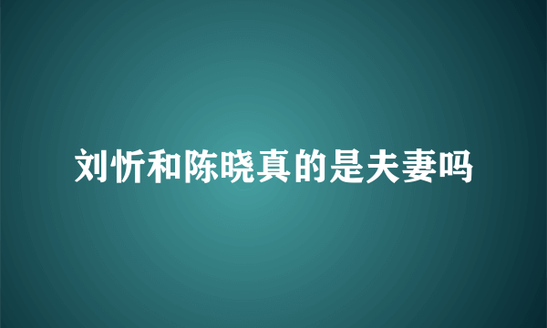 刘忻和陈晓真的是夫妻吗