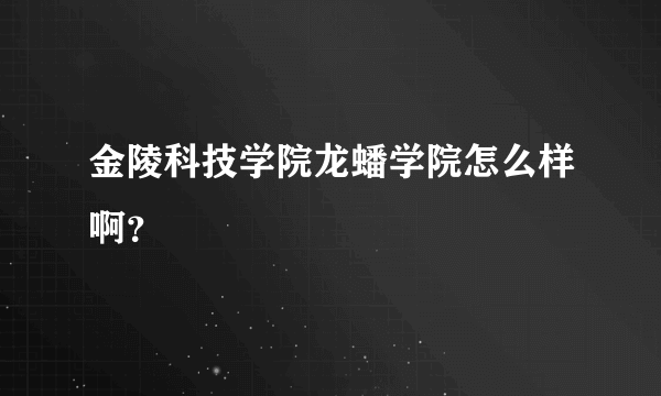 金陵科技学院龙蟠学院怎么样啊？