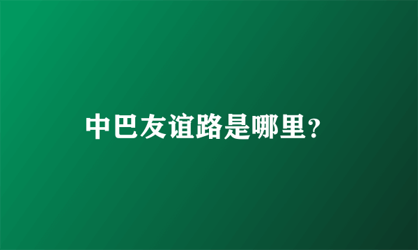 中巴友谊路是哪里？