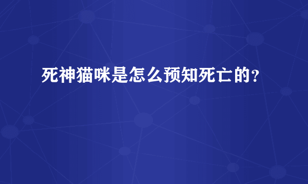 死神猫咪是怎么预知死亡的？