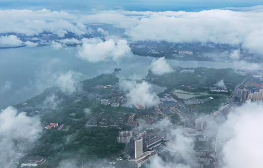 武汉暴雨过后，街头出现了哪些现象？