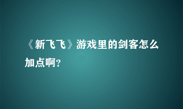 《新飞飞》游戏里的剑客怎么加点啊？