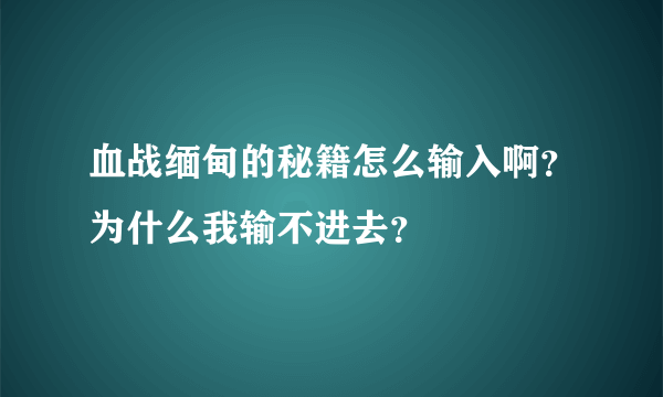 血战缅甸的秘籍怎么输入啊？为什么我输不进去？