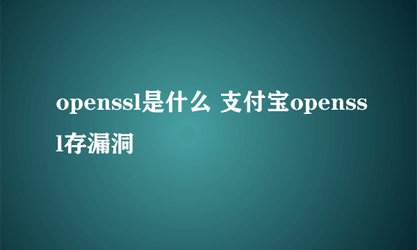 openssl是什么 支付宝openssl存漏洞