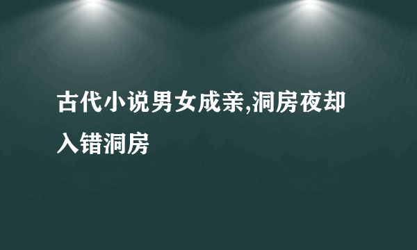 古代小说男女成亲,洞房夜却入错洞房