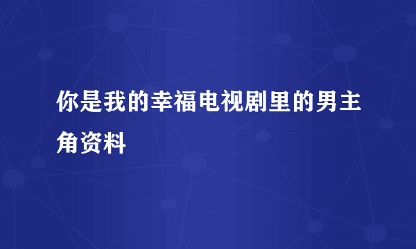 你是我的幸福电视剧里的男主角资料