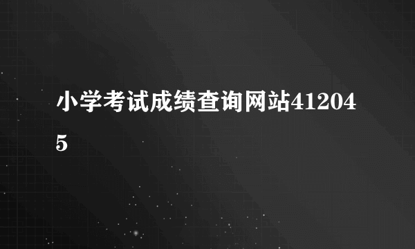 小学考试成绩查询网站412045