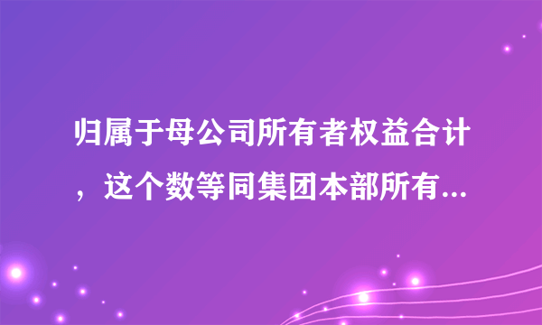 归属于母公司所有者权益合计，这个数等同集团本部所有者权益吗？？？