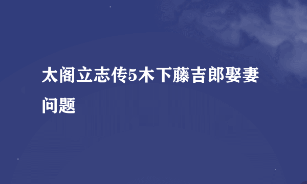 太阁立志传5木下藤吉郎娶妻问题