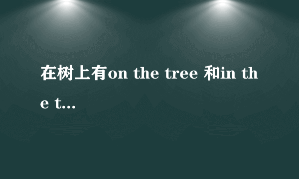 在树上有on the tree 和in the tree,怎么区分?