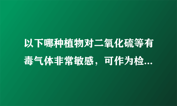 以下哪种植物对二氧化硫等有毒气体非常敏感，可作为检测空气污染的指示植物（　　）A．苔藓B．蕨类C．藻