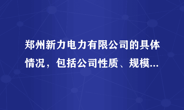 郑州新力电力有限公司的具体情况，包括公司性质、规模、员工待遇、发展情况等，尽量详细一些吧！