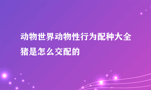 动物世界动物性行为配种大全猪是怎么交配的