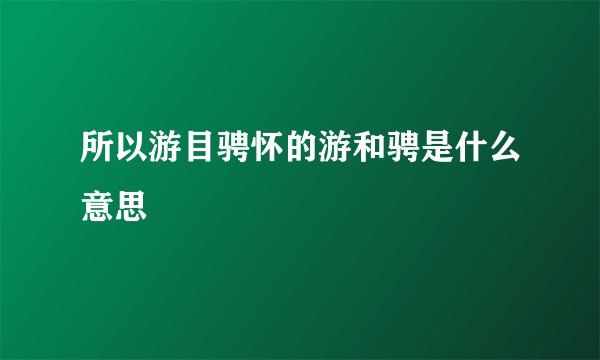 所以游目骋怀的游和骋是什么意思