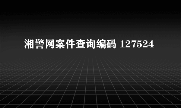 湘警网案件查询编码 127524