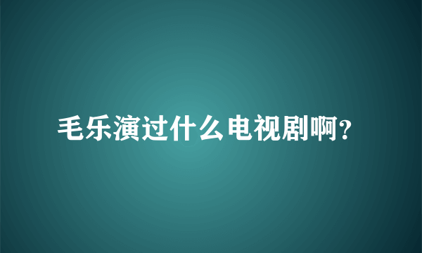 毛乐演过什么电视剧啊？