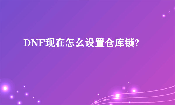 DNF现在怎么设置仓库锁?