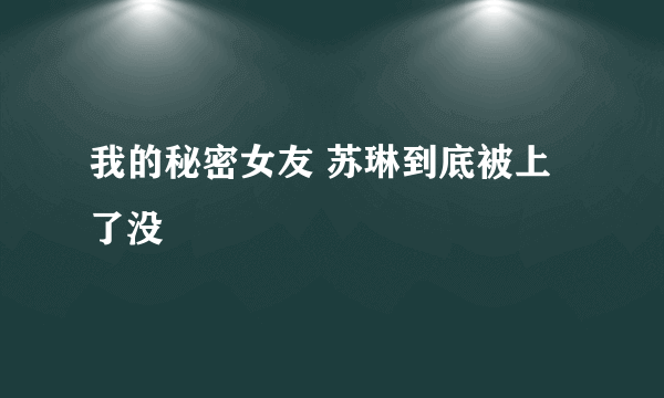 我的秘密女友 苏琳到底被上了没