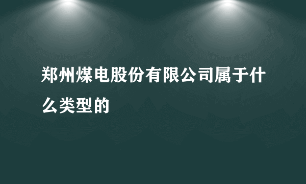 郑州煤电股份有限公司属于什么类型的