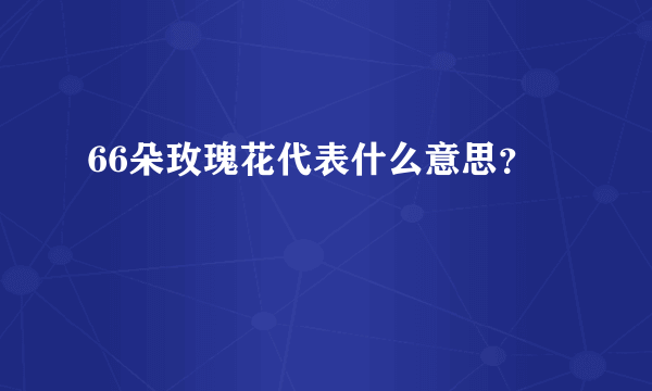 66朵玫瑰花代表什么意思？