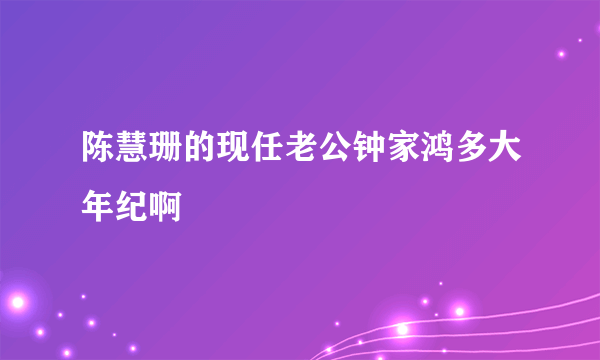 陈慧珊的现任老公钟家鸿多大年纪啊