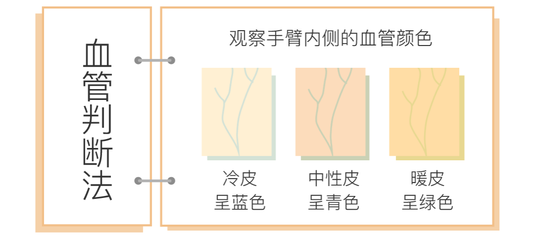 怎么区分自己是冷色调皮肤还是暖色调皮肤？