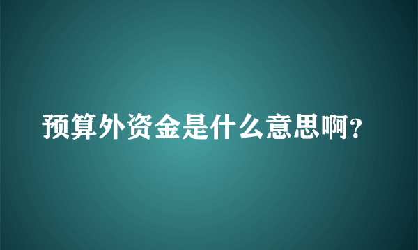 预算外资金是什么意思啊？