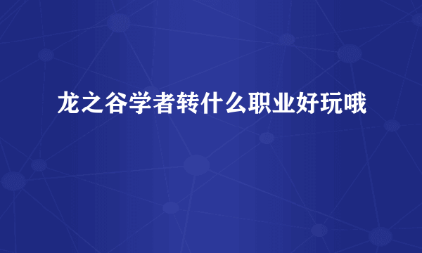 龙之谷学者转什么职业好玩哦