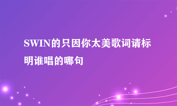 SWIN的只因你太美歌词请标明谁唱的哪句