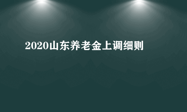 2020山东养老金上调细则