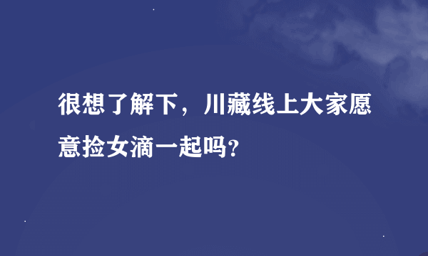 很想了解下，川藏线上大家愿意捡女滴一起吗？