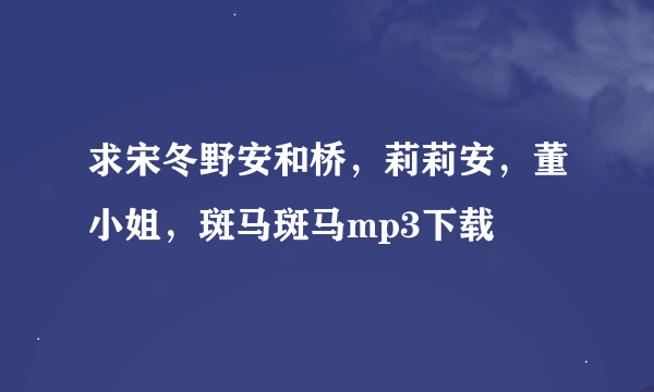 求宋冬野安和桥，莉莉安，董小姐，斑马斑马mp3下载