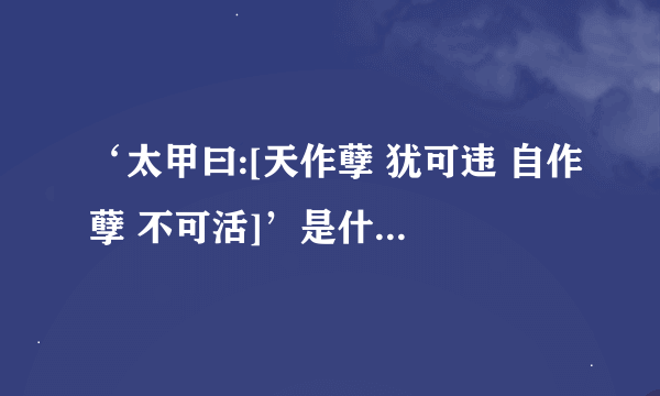 ‘太甲曰:[天作孽 犹可违 自作孽 不可活]’是什么意思啊？