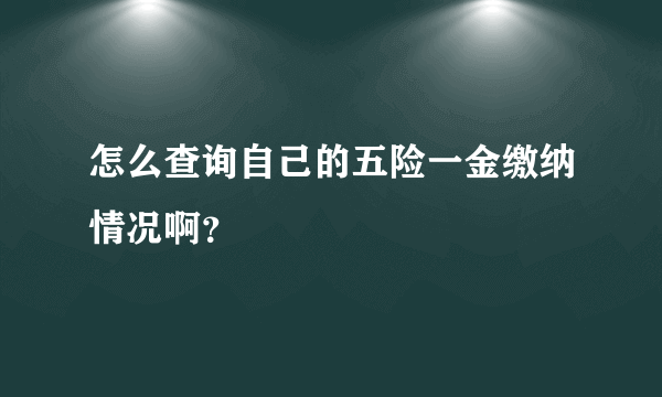 怎么查询自己的五险一金缴纳情况啊？