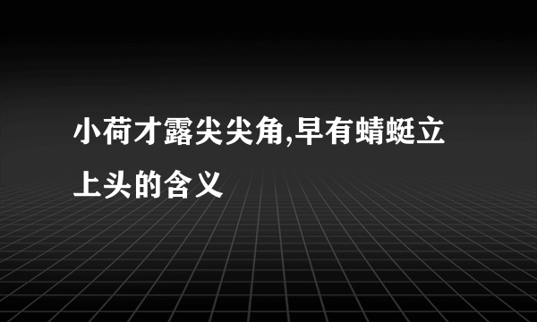 小荷才露尖尖角,早有蜻蜓立上头的含义