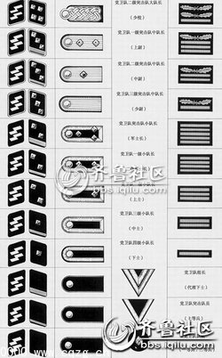 纳粹军衔的陆军