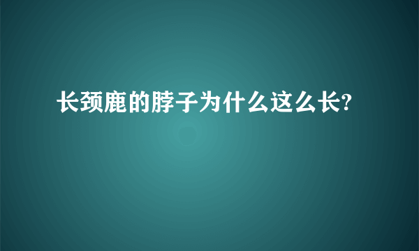 长颈鹿的脖子为什么这么长?