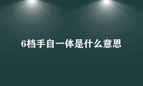 6档手自一体是什么意思